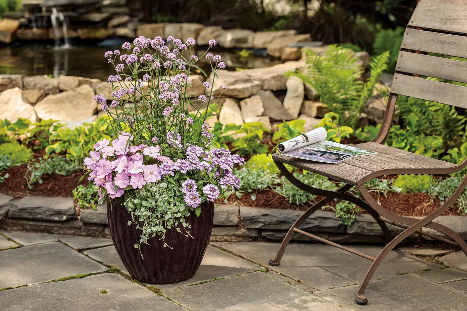 Amethyst II Verbena — and white tones through annual beds