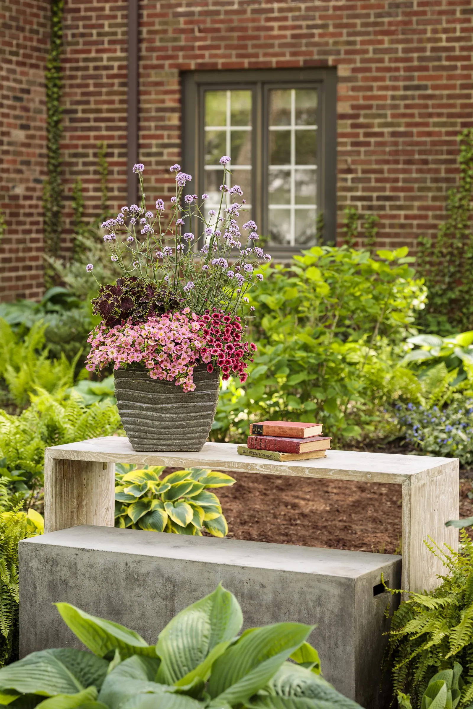 Honeyberry™ Calibrachoa — It grows 6-12 inches tall and spreads 12-24 inches, spilling beautifully from baskets and containers