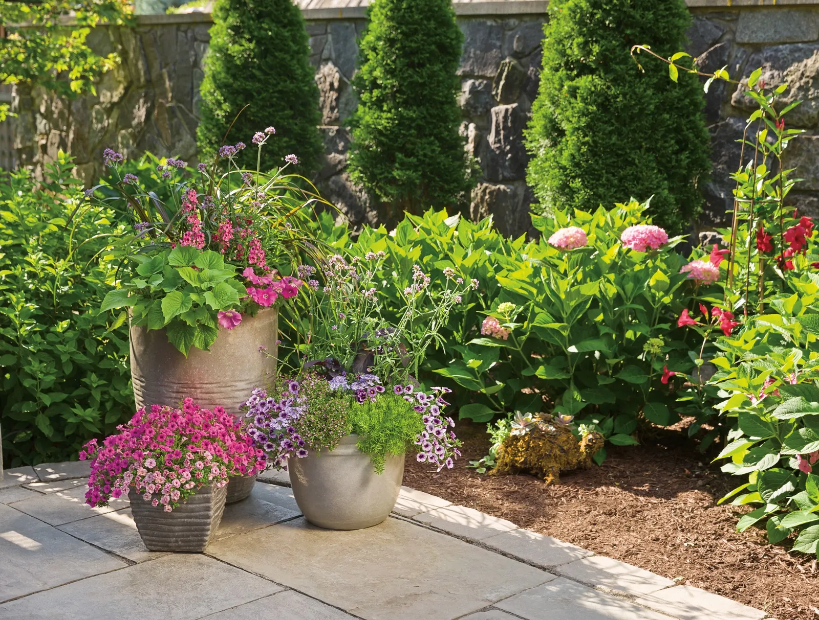Meteor Shower® Verbena (Verbena bonariensis) — Plant in part sun to full sun with average, well-drained soil and moderate water; deadheading is not needed