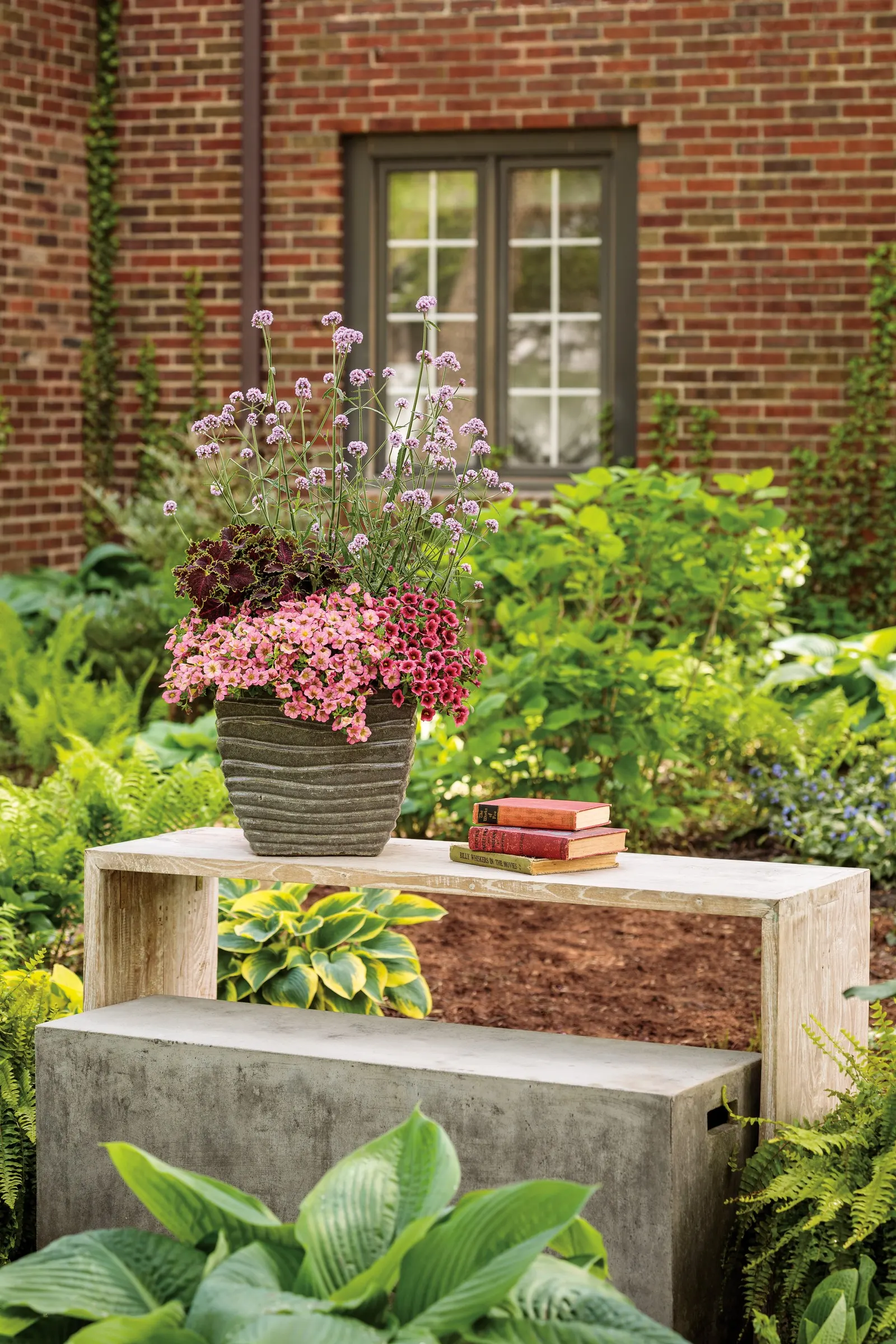 Honeyberry™ Calibrachoa — commonly referred to as Honeyberry™ Calibrachoa