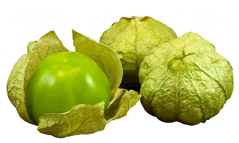 Cascara (Frangula Purshiana) — which give way to purplish-black berries in late summer to fall