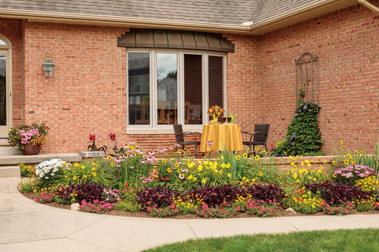 Scarlet II Canna Lily (Canna generalis) — pairing beautifully with vigorous trailing annuals and colorful foliage plants