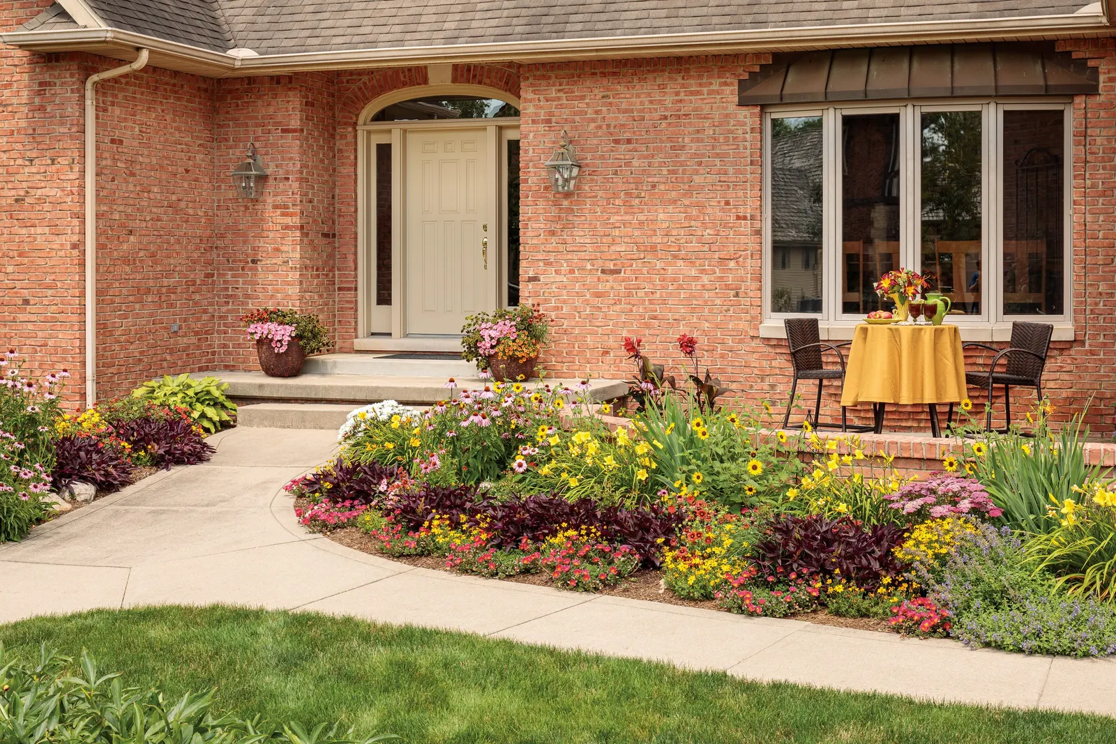 Goldilocks Rocks® II Bidens (Bidens ferulifolia) — low-growing ribbon of color to sunny edges; weaving among bolder foliage plants or mingling with, image 74