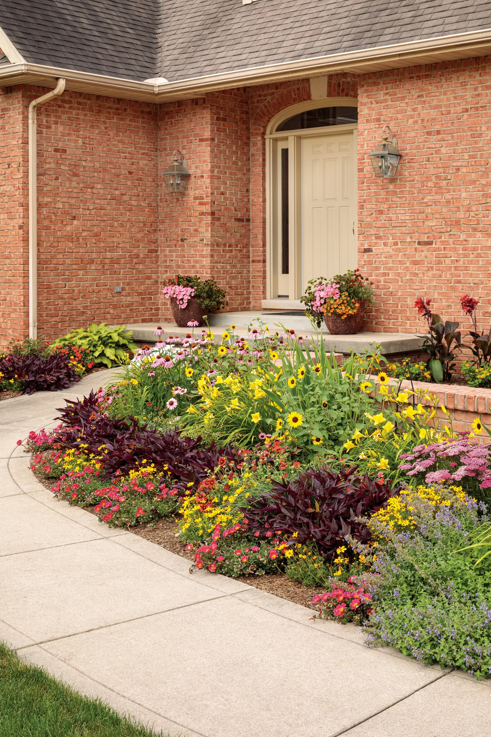 Oso Easy Italian Ice® Rose (Rosa x) — shifting color and remarkably approachable care