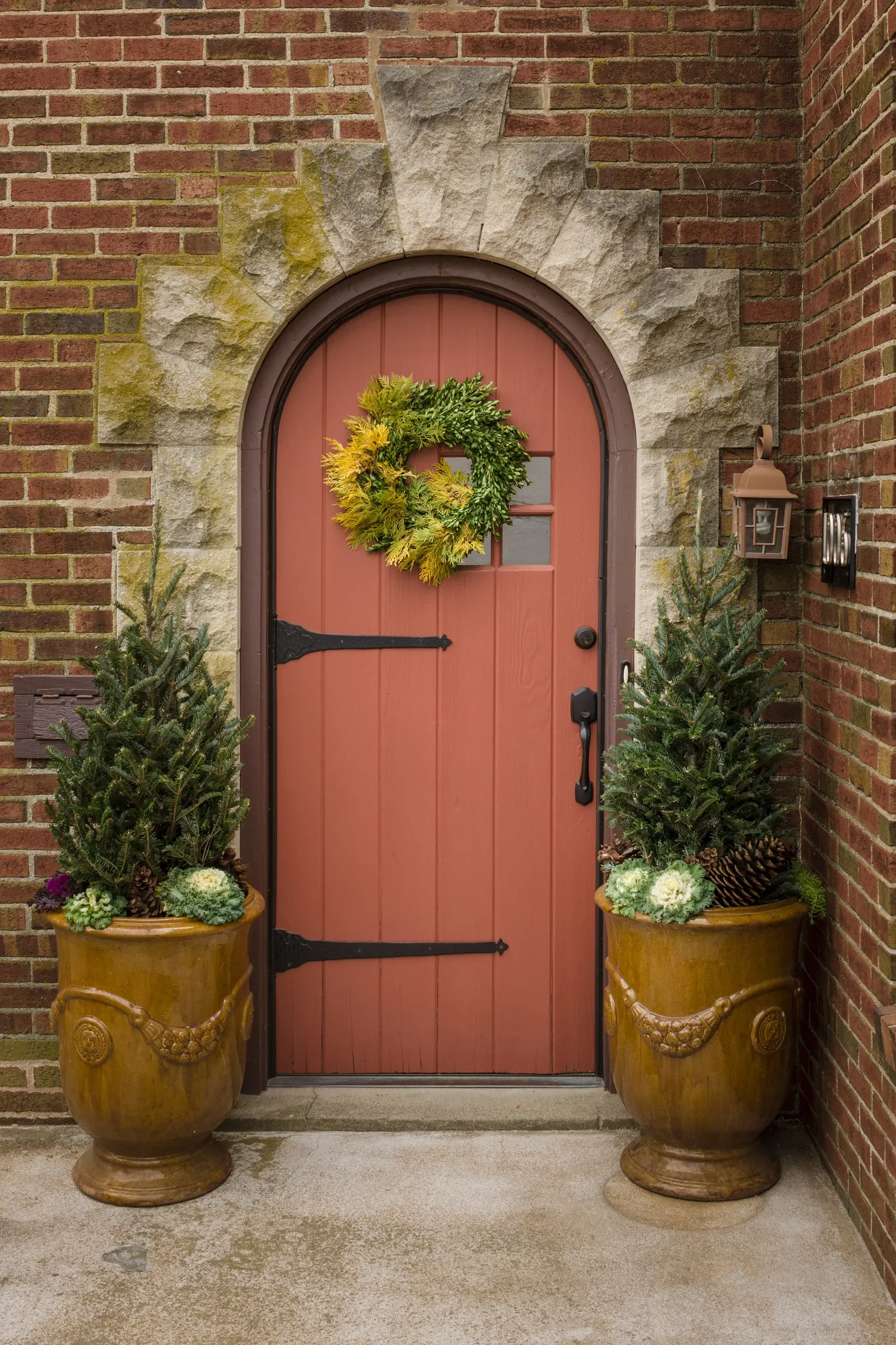 Anna's Magic Ball® Arborvitae (Thuja occidentalis) — Thuja occidentalis 'Anna's Magic Ball' is a compact