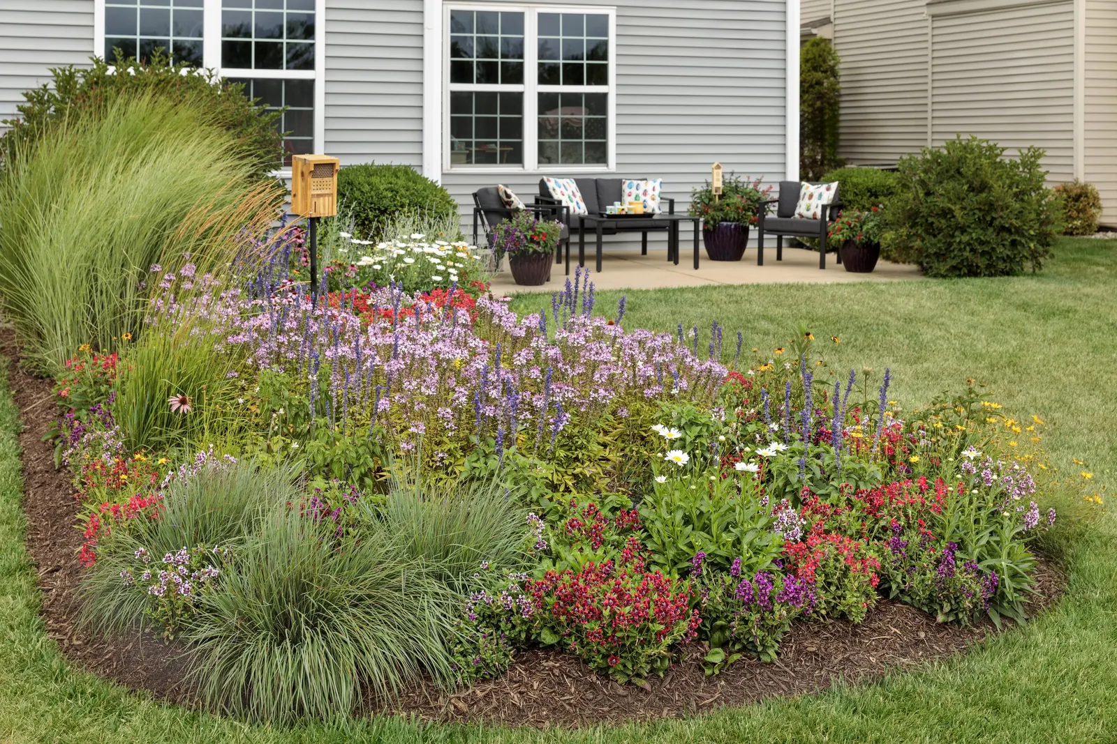 Señorita Rosalita® Spider Flower (Cleome) — It produces an abundance of smaller clusters of pink flowers all over the top of the plant; so far, it, image 46