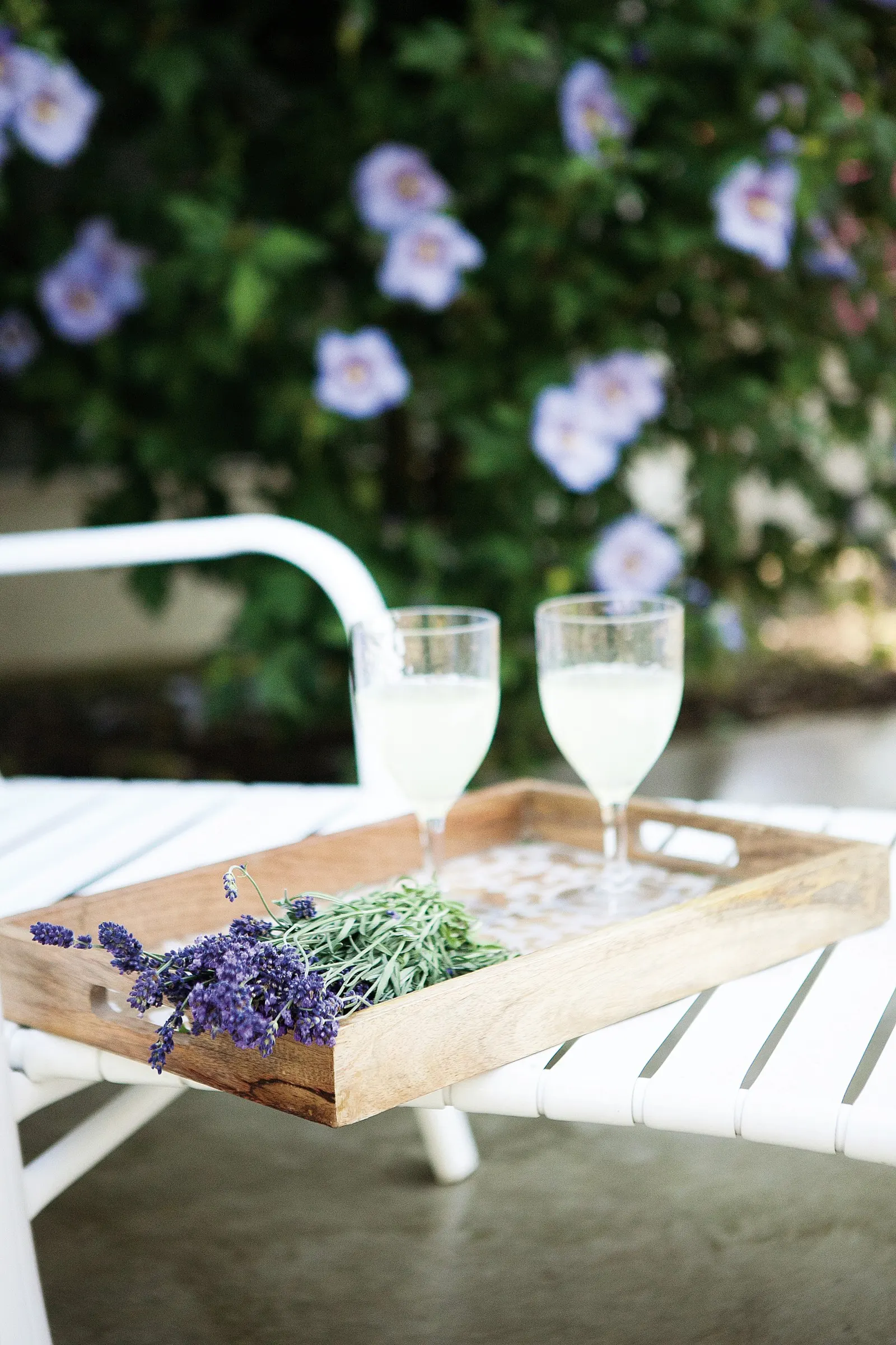 Sweet Romance® Lavender (Lavandula angustifolia) — Best in full sun and well-drained sandy or loamy soil, it prefers average water and lean conditions