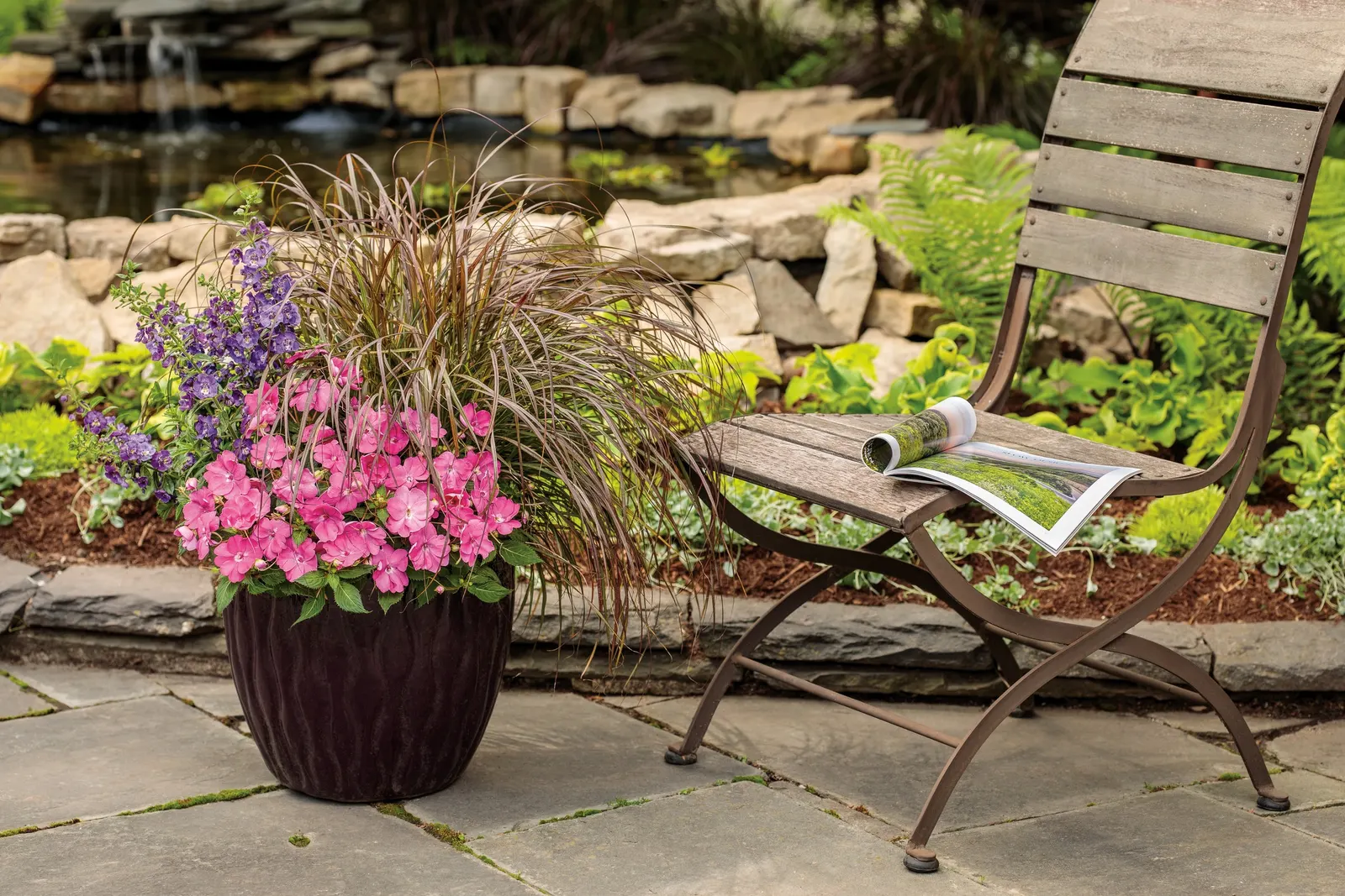 Blue III Angelonia — Its blossoms rise in elegant vertical wands above clean green foliage
