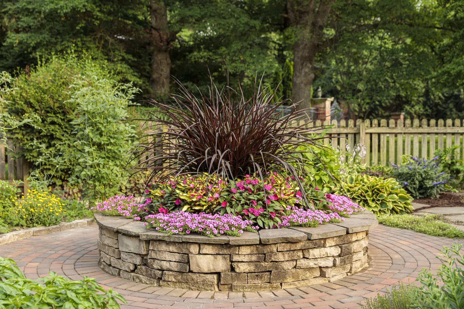 Vertigo® Purple Fountain Grass (Pennisetum purpureum) — They will usually turn shades of brown for the winter; snow or ice encrusted ornamental, image 150