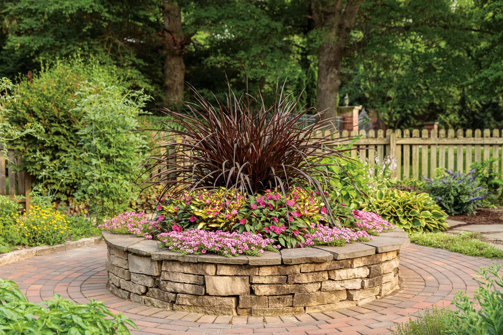 Hot Pink Petunia — In the Proven Winners® Supertunia® Mini Vista™ series; and provide additional feeding for containers or hanging baskets as the season