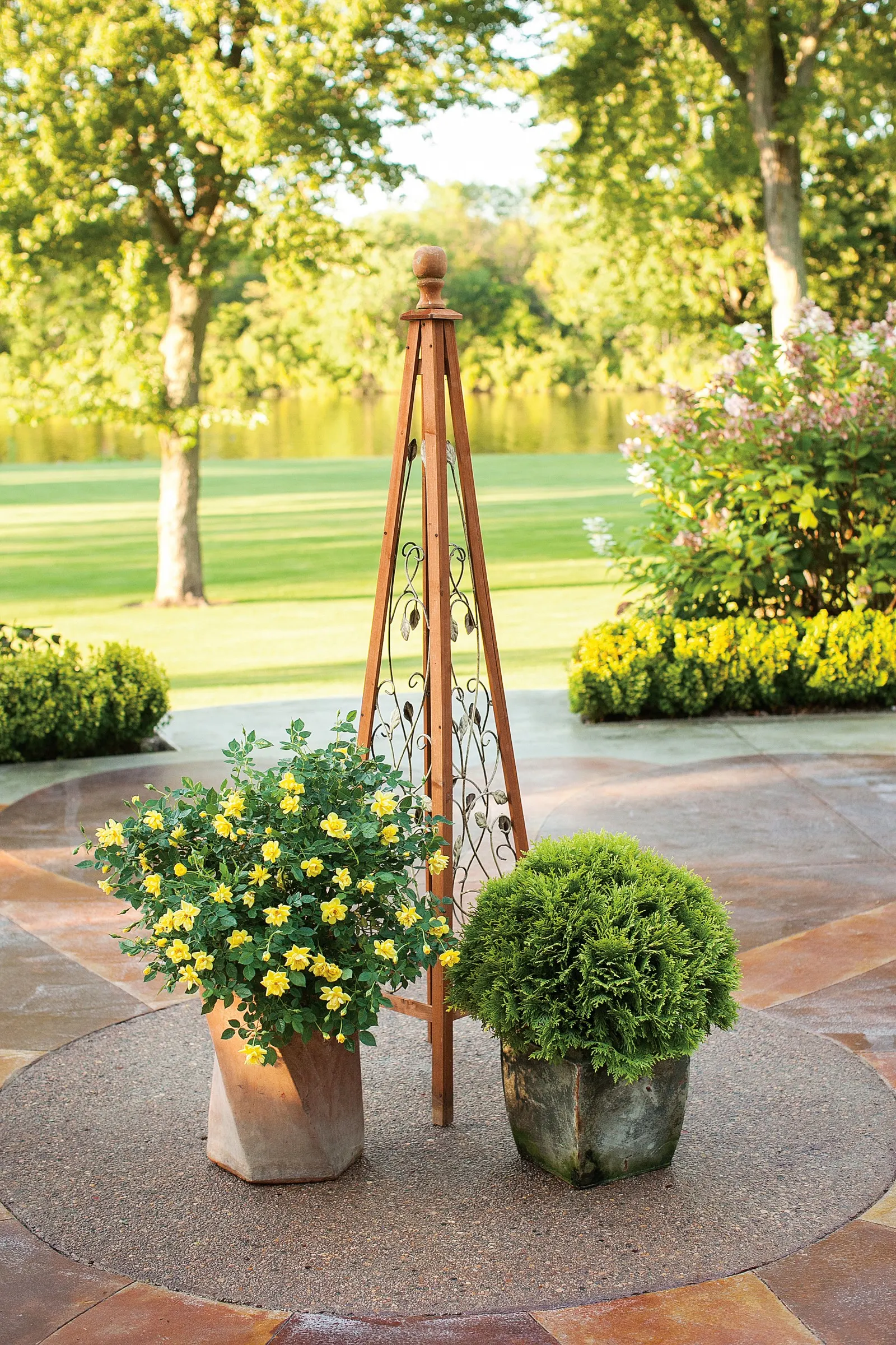 Anna's Magic Ball® Arborvitae (Thuja occidentalis) — Minimal upkeep with moderate water needs, it's pest-resistant and adds a pop of color to any landscape