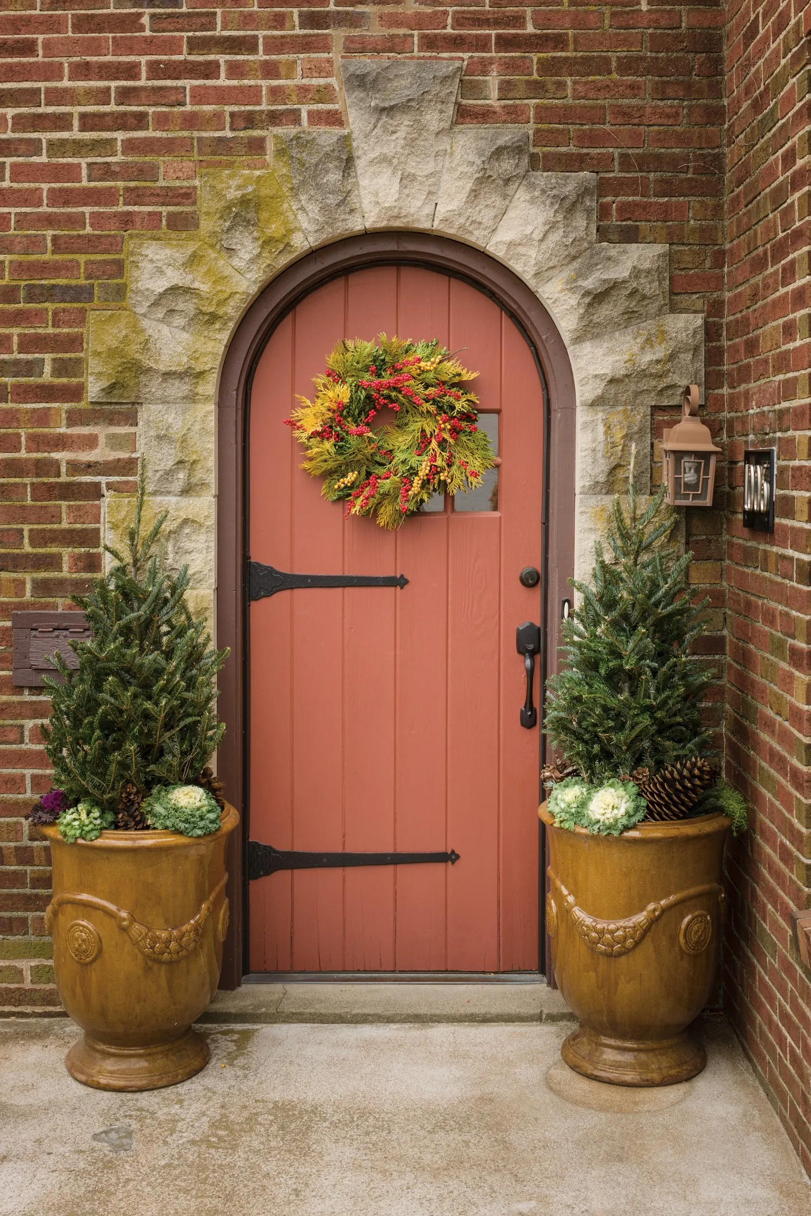Gold Winterberry holly (Ilex verticillata) — Gold Winterberry holly matures to approximately 6 to 8 feet tall and equally wide