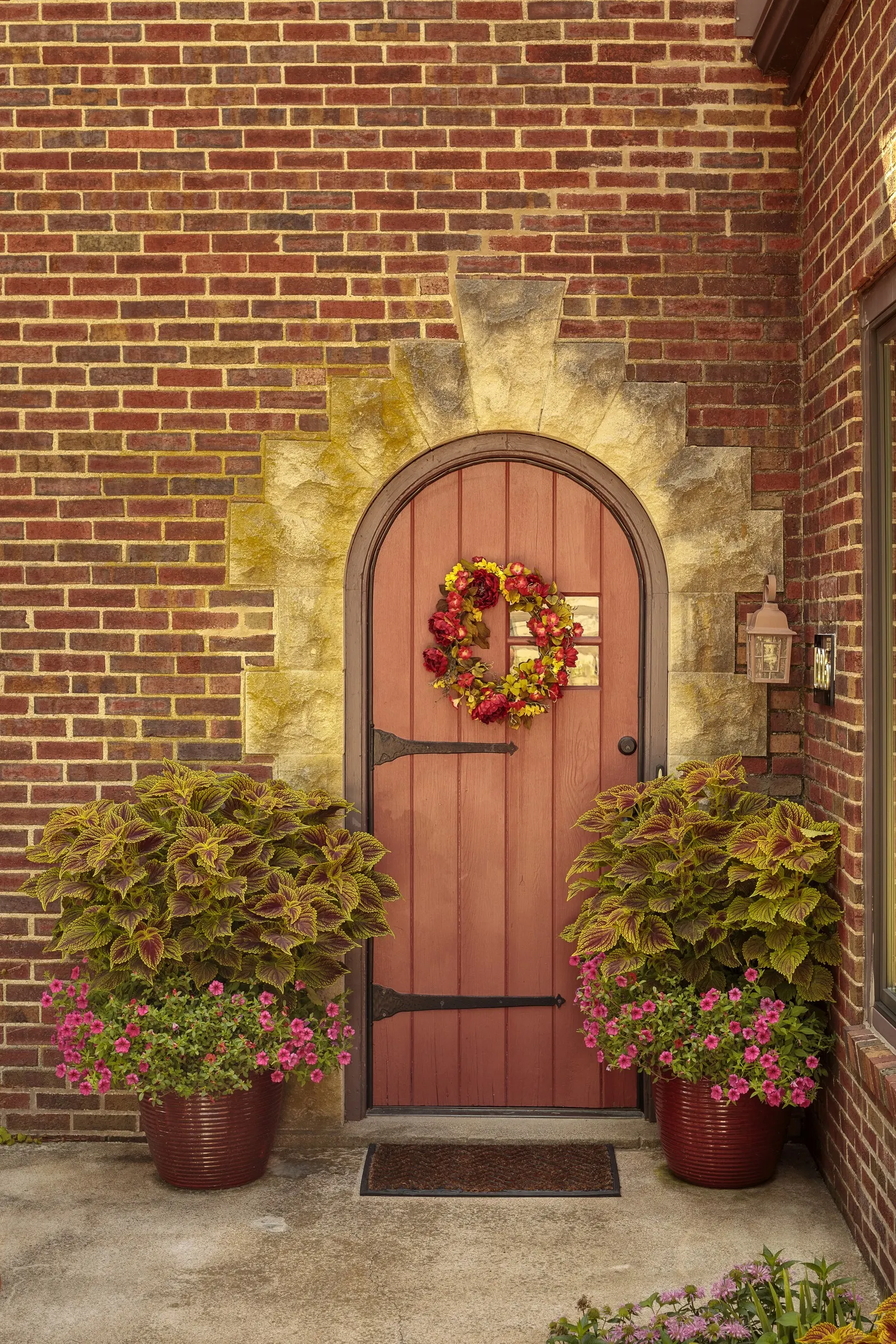 Paradise Petunia — with no deadheading required