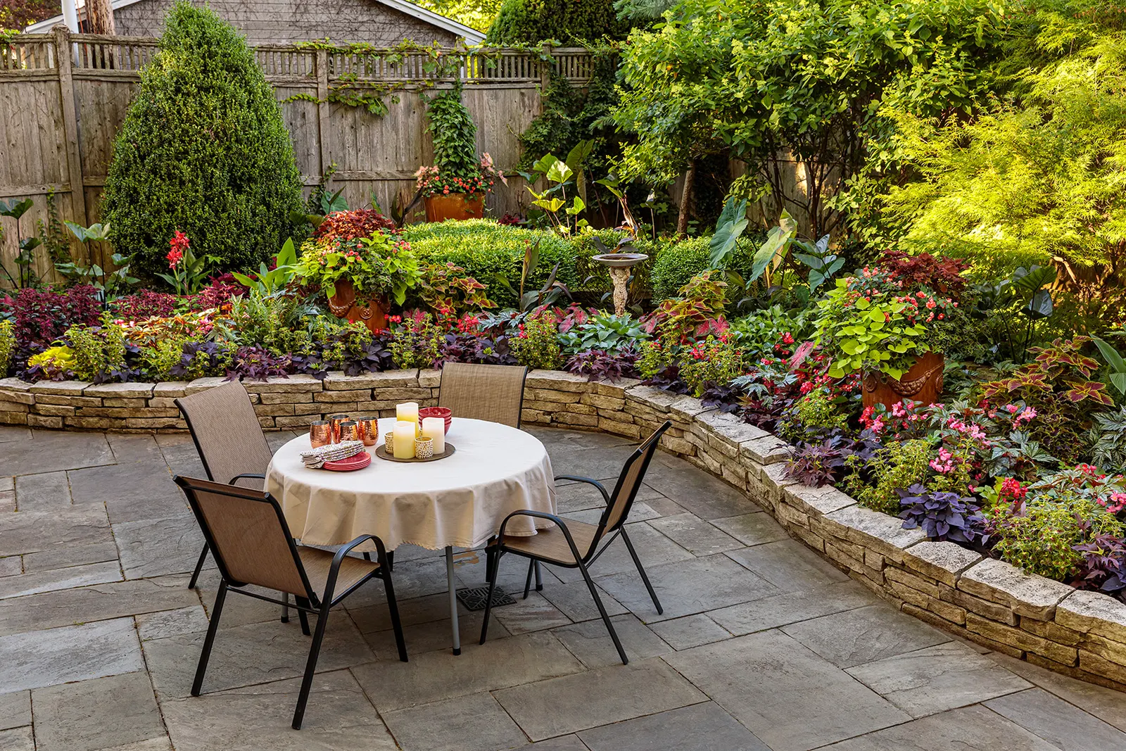Strawberry Drop Coleus (Coleus scutellarioides) — To keep foliage in top shape, pinch off the blooms as they appear if you wish; many people feel, image 114