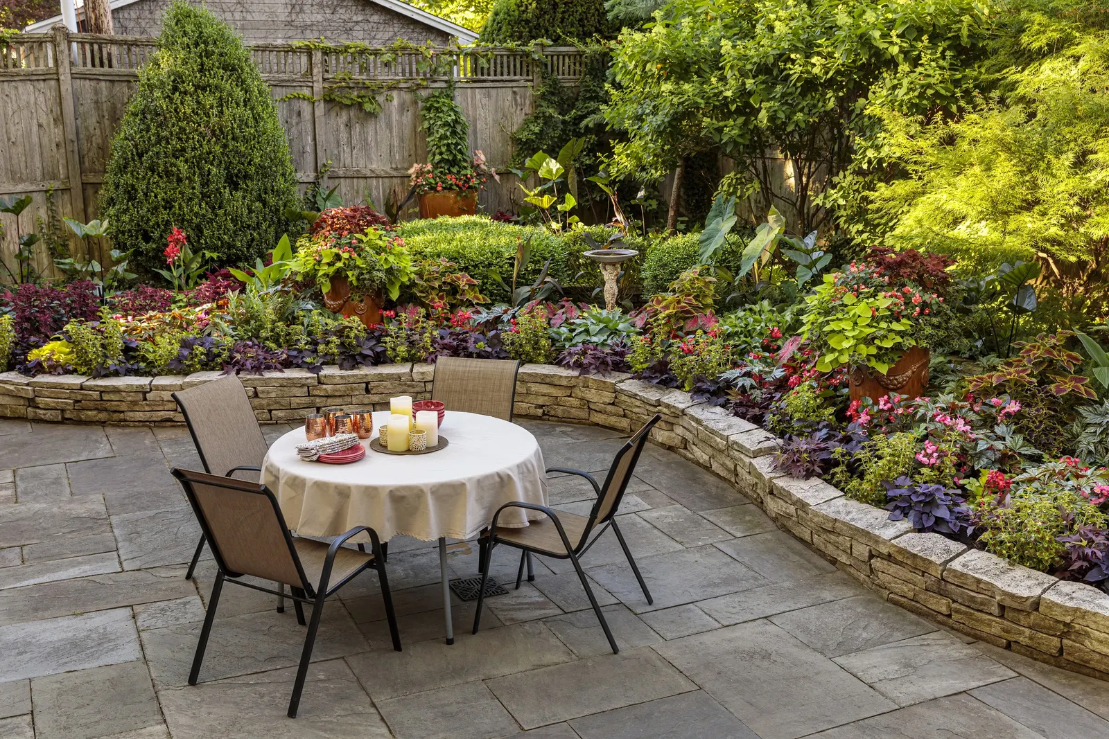 Yellow Canna Lily (Canna generalis) — It is adaptable to average garden soil and average watering; and poolside arrangements