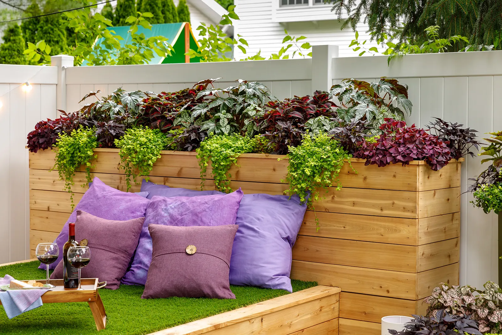 Goldilocks Creeping Jenny (Lysimachia nummularia) — information and resources; shiny golden foliage brightens any garden or container, image 18