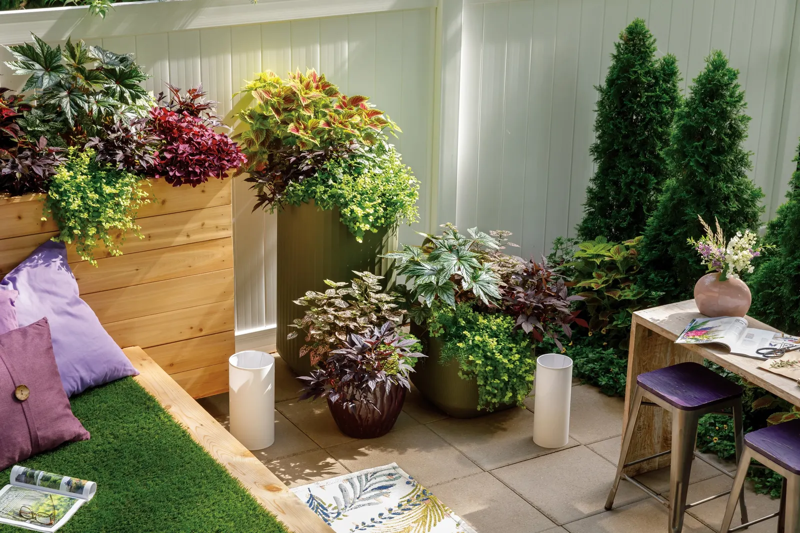 White Linen Wishbone Flower (Torenia) — Proven Winners - Catalina® White Linen - Wishbone Flower - Torenia white plant details; snapdragon-like, image 46