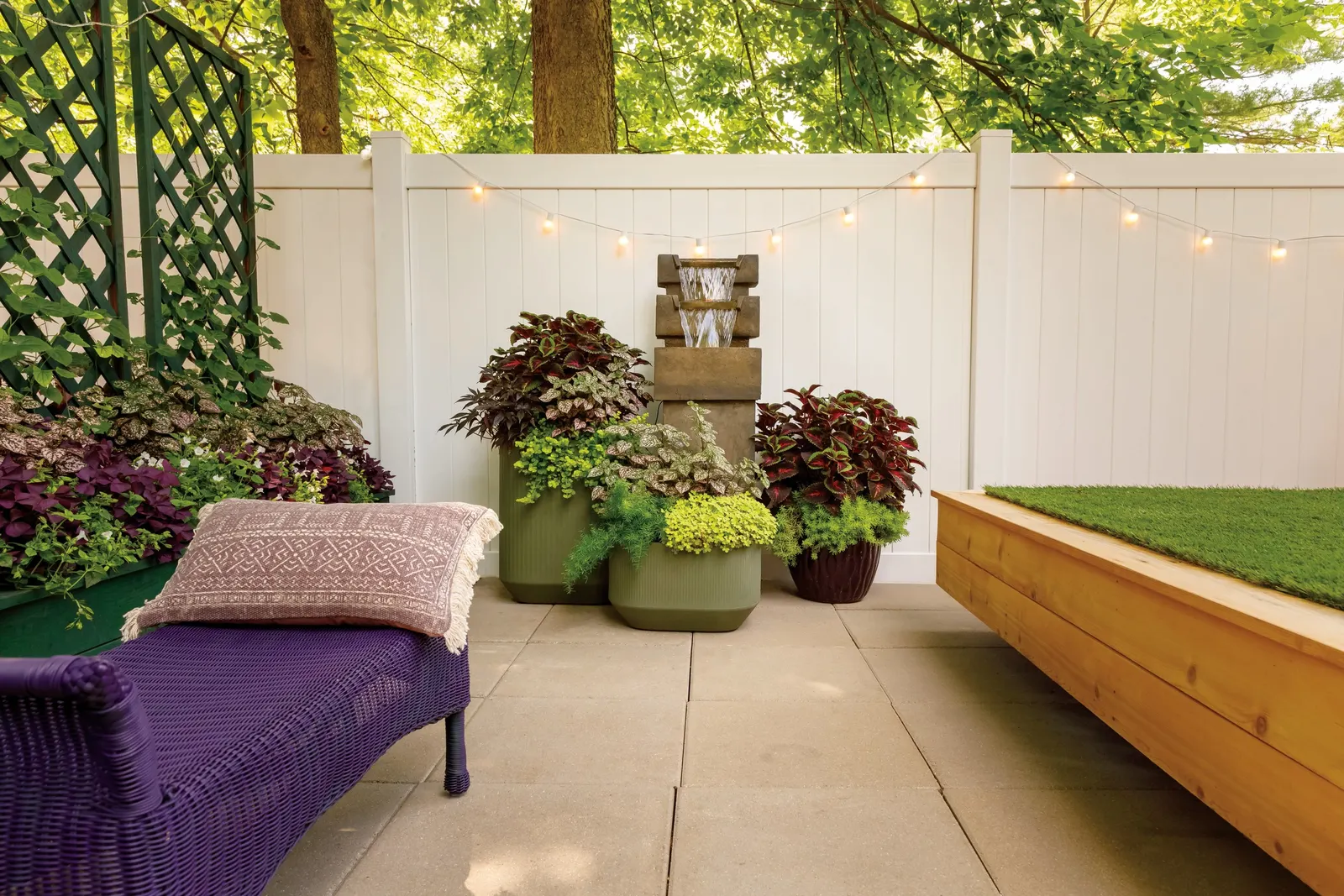 Lime Sweet Potato Vine (Ipomoea) — cascading stems that catch light beautifully in mixed plantings; though gardeners in warm climates often find its growth