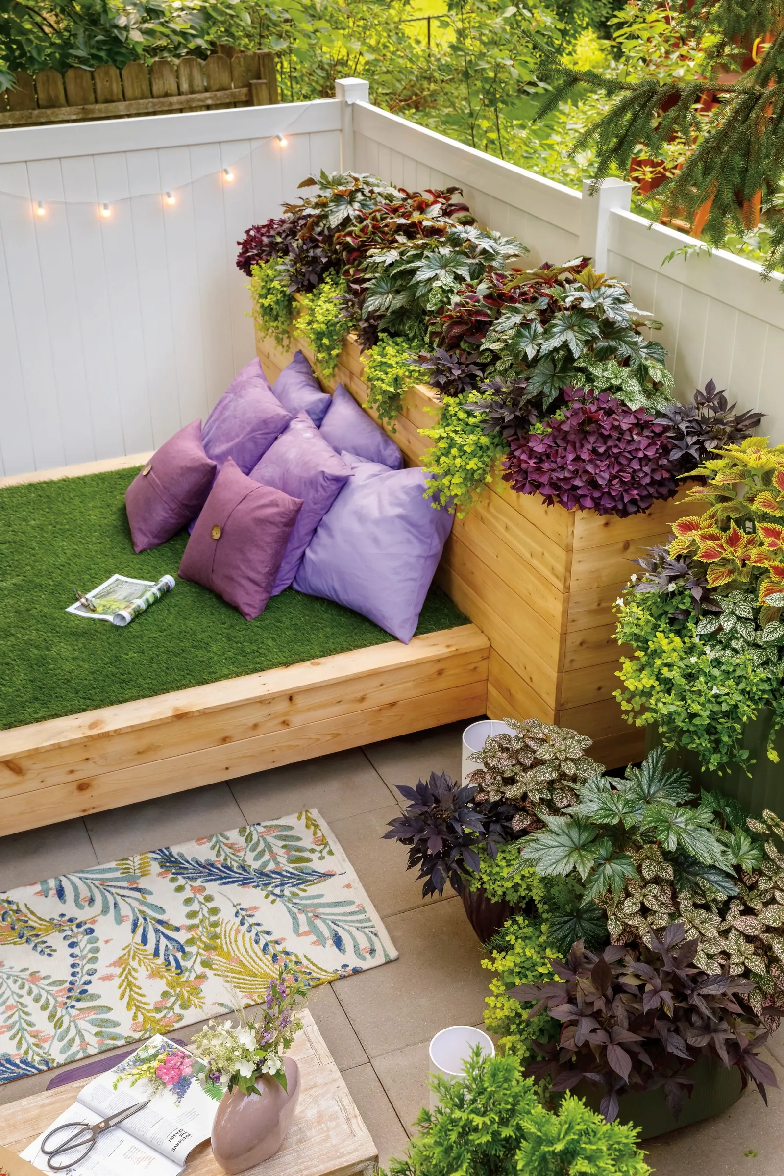 Gilded Grape™ Wishbone Flower (Torenia) — snapdragon-like blooms all season; proven Winners - Catalina® Gilded Grape™ - Wishbone Flower - Torenia yellow plant