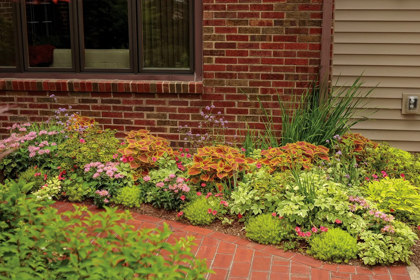 Paradise Petunia — softening rims and pathways while attracting butterflies and hummingbirds