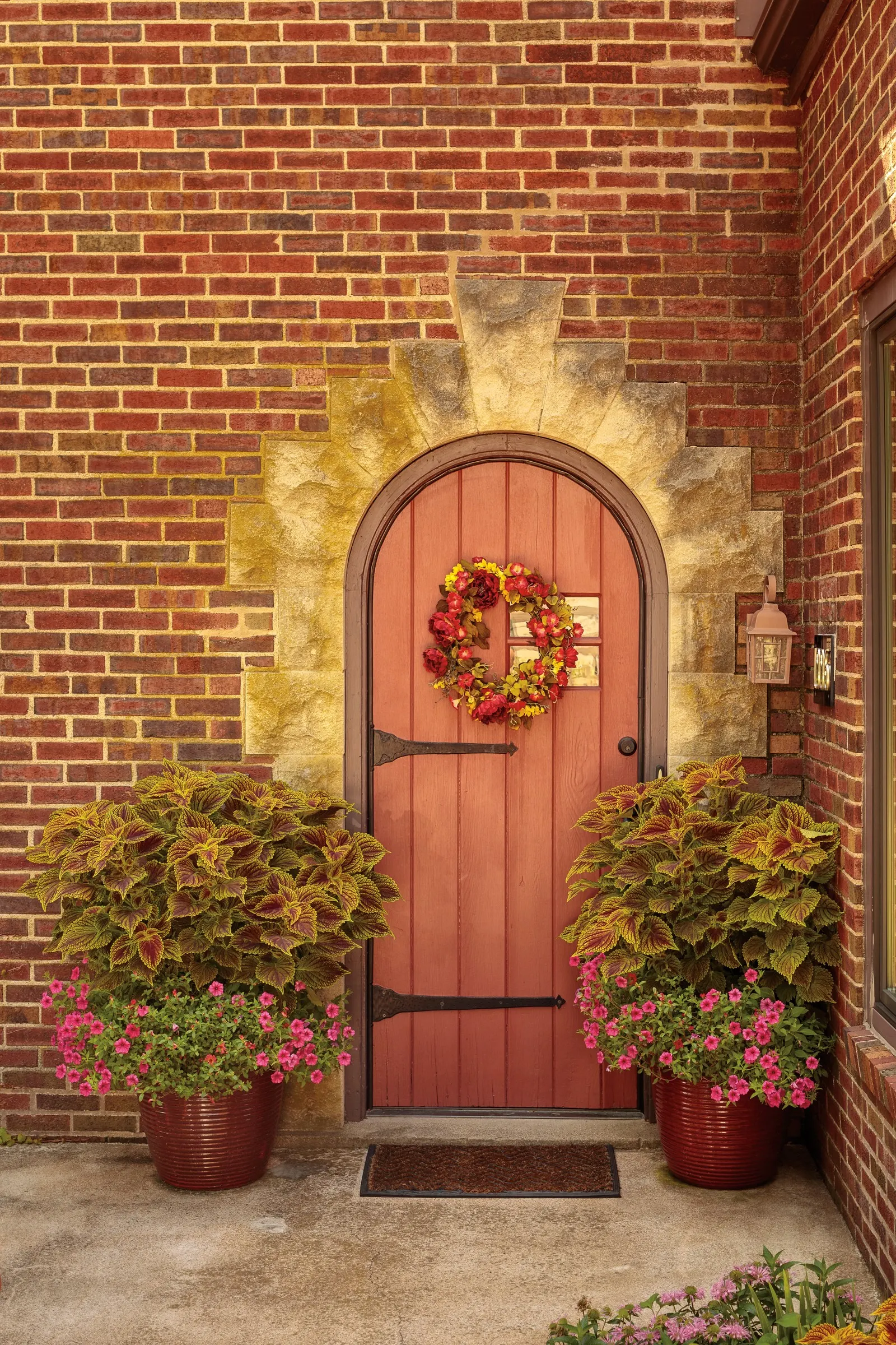 Golden Dreams™ Coleus (Coleus scutellarioides) — The Coleus scutellarioides is a vigorous annual foliage plant