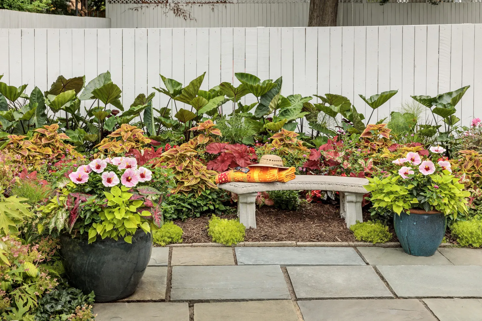 Lime Sweet Potato Vine (Ipomoea) — In the landscape, it makes a vivid annual groundcover, border accent, or mass planting for high-impact color, image 142