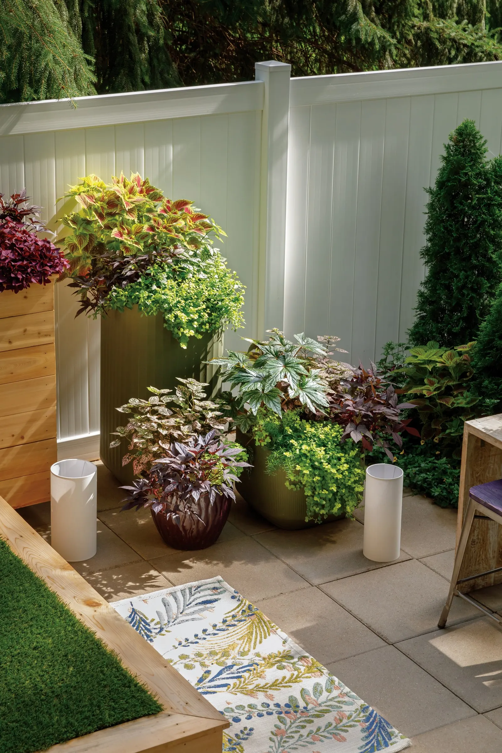 North Pole® Arborvitae (Thuja occidentalis) — Its texture is lush and finely scaled; bringing a formal yet natural vertical accent to the landscape