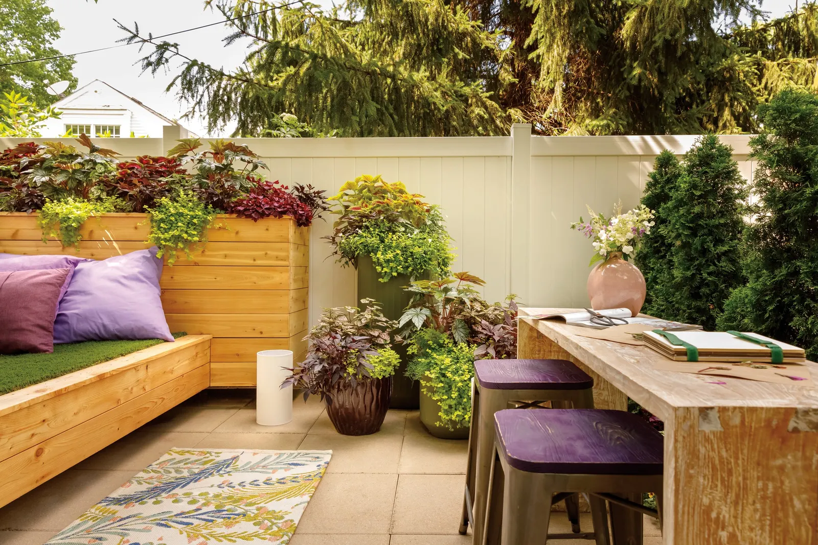 North Pole® Arborvitae (Thuja occidentalis) — Part of the Proven Winners® collection; once settled, it is considered easy care, needing little pruning beyond