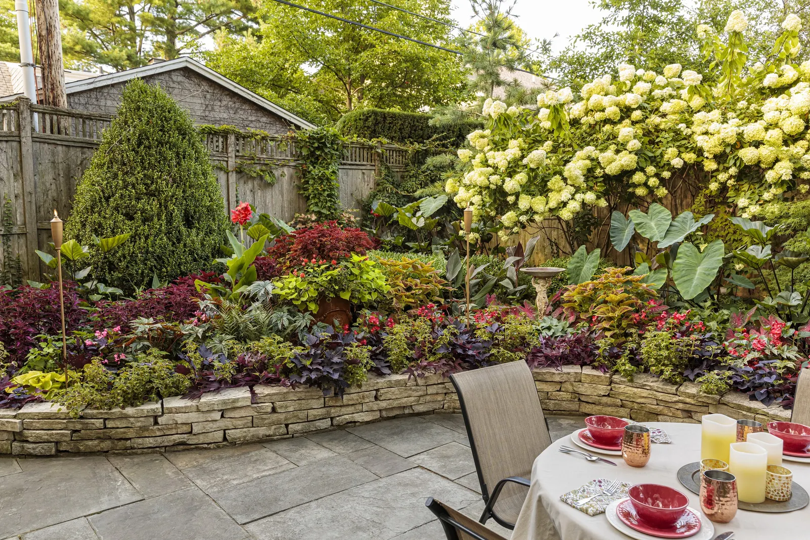 Velveteen® Coleus (Coleus scutellarioides) — It also brings sophisticated color to borders; or soft lavender companions