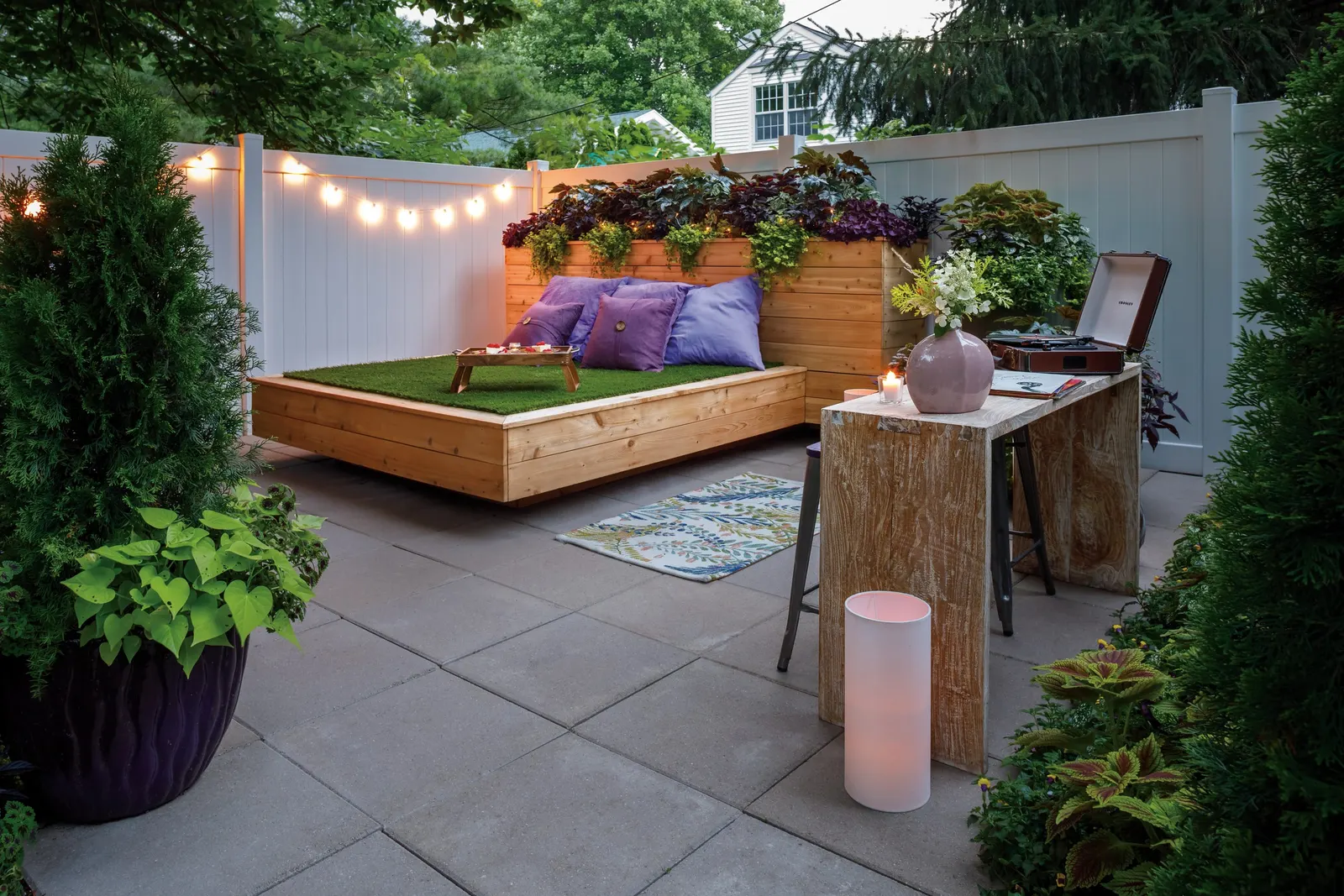 North Pole® Arborvitae (Thuja occidentalis) — Use it in repeated spacing for a slim living screen