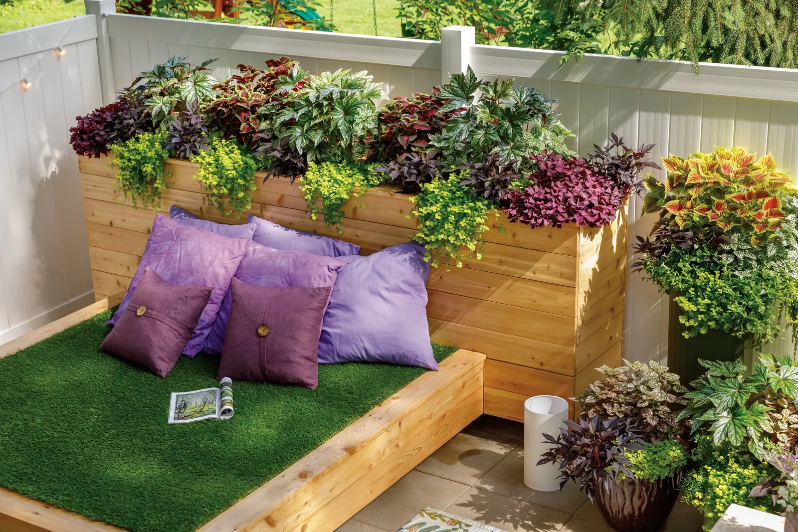 Gilded Grape™ Wishbone Flower (Torenia) — information and resources; the wishbone flower is low maintenance and is reliable for torenia hanging, image 38