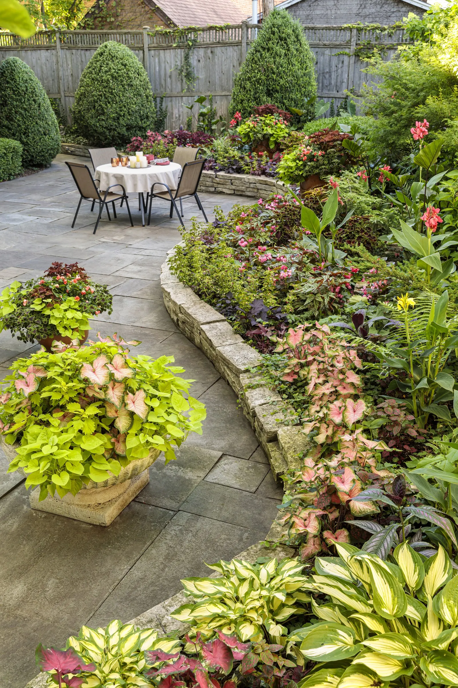 Red Hawk™ II Ornamental Sweet Potato Vine (Ipomoea) — pairing beautifully with chartreuse; vigorous foliage that spills