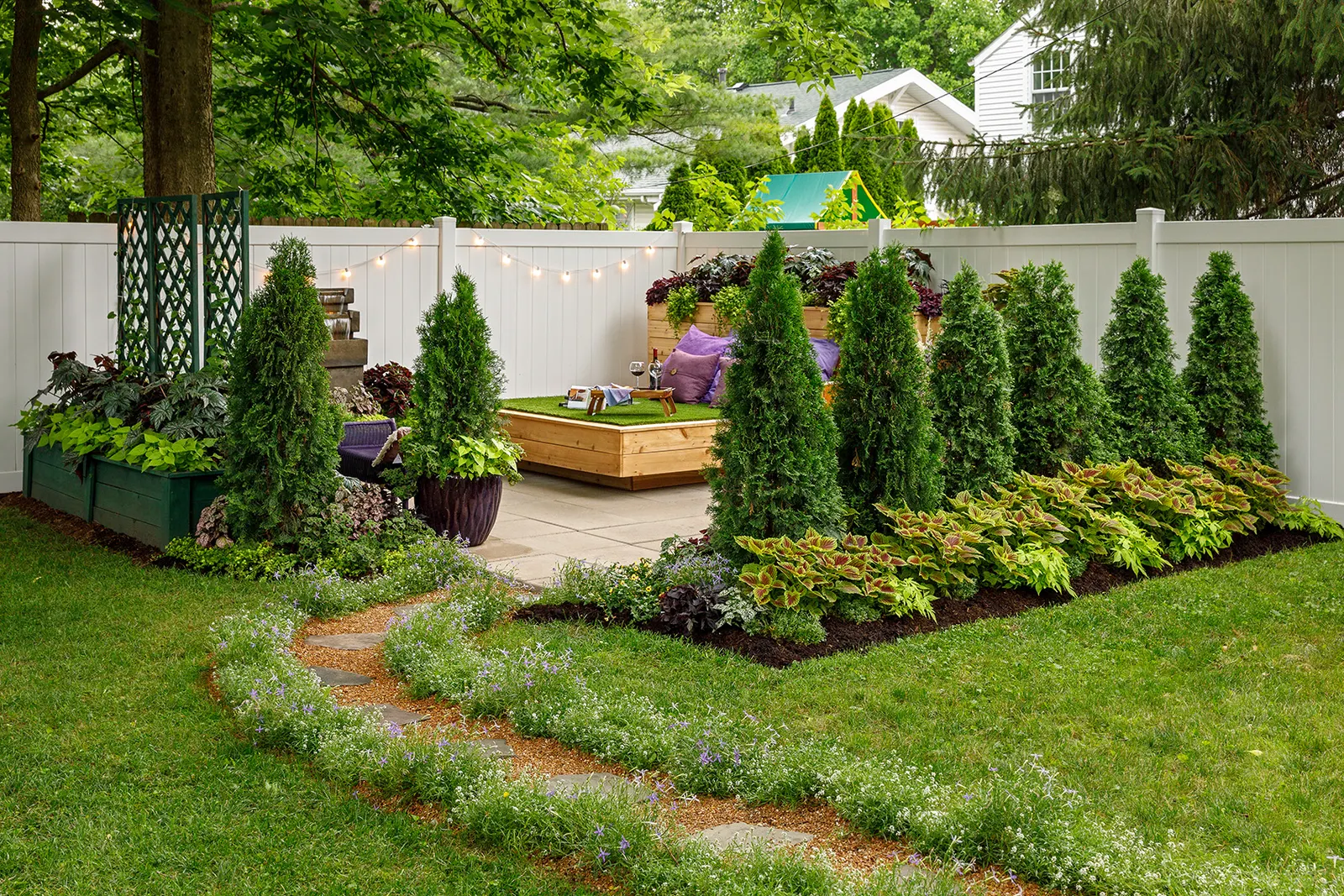 North Pole® Arborvitae (Thuja occidentalis) — vivid green foliage and a refined columnar form
