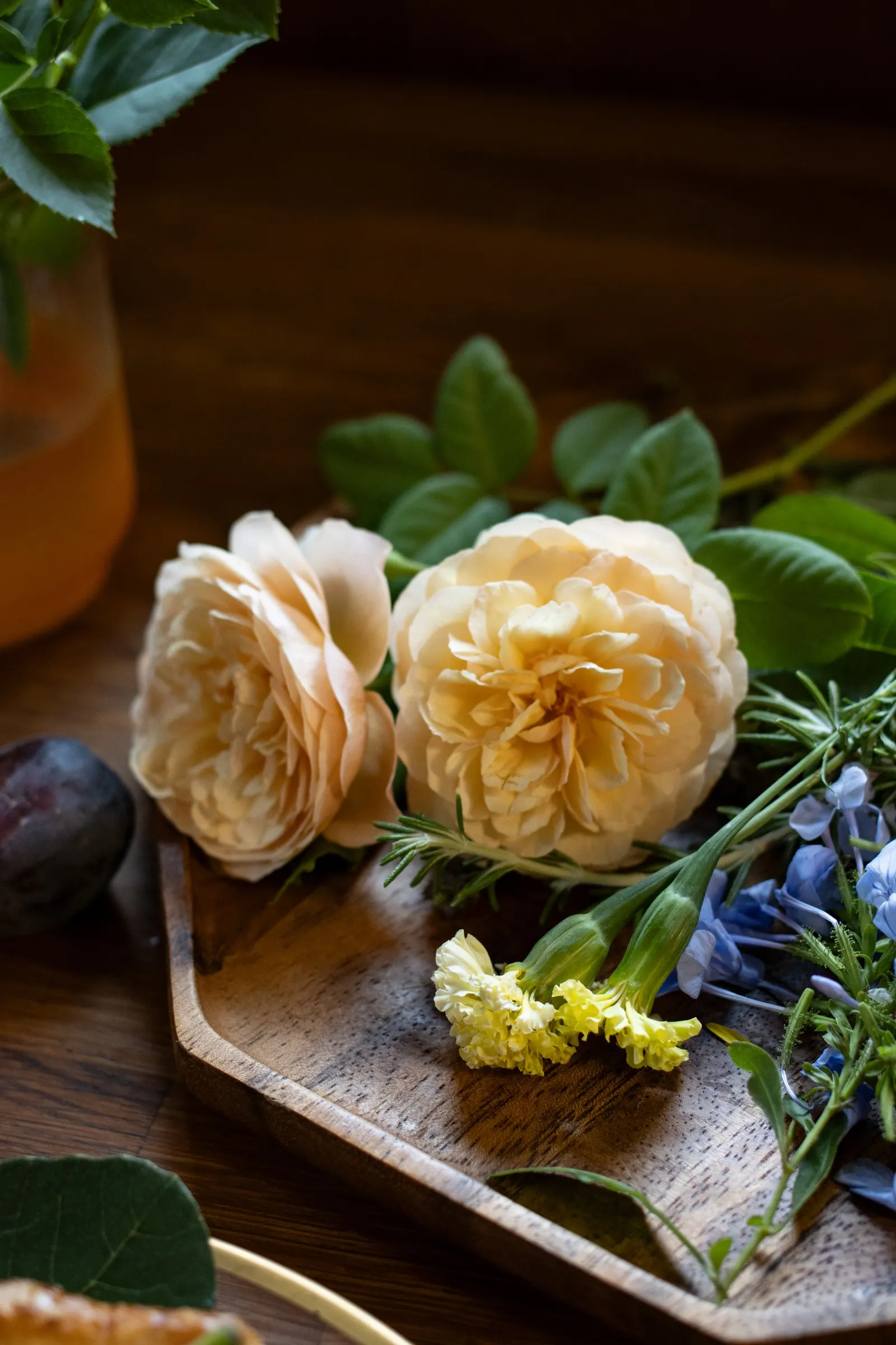 Flavorette® Honey-Apricot Edible Rose (Rosa x) — commonly referred to as Flavorette® Honey-Apricot Edible Rose