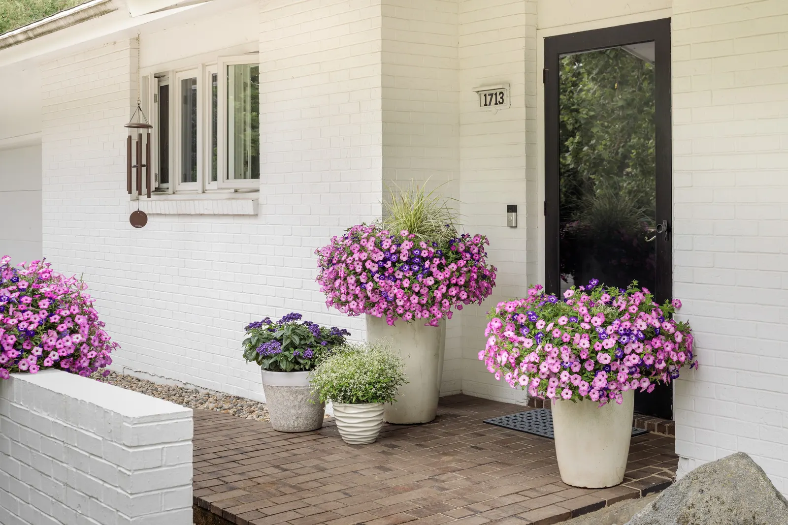 Blue Tiara™ petunia — electric note that reads beautifully from a distance and rewards close viewing