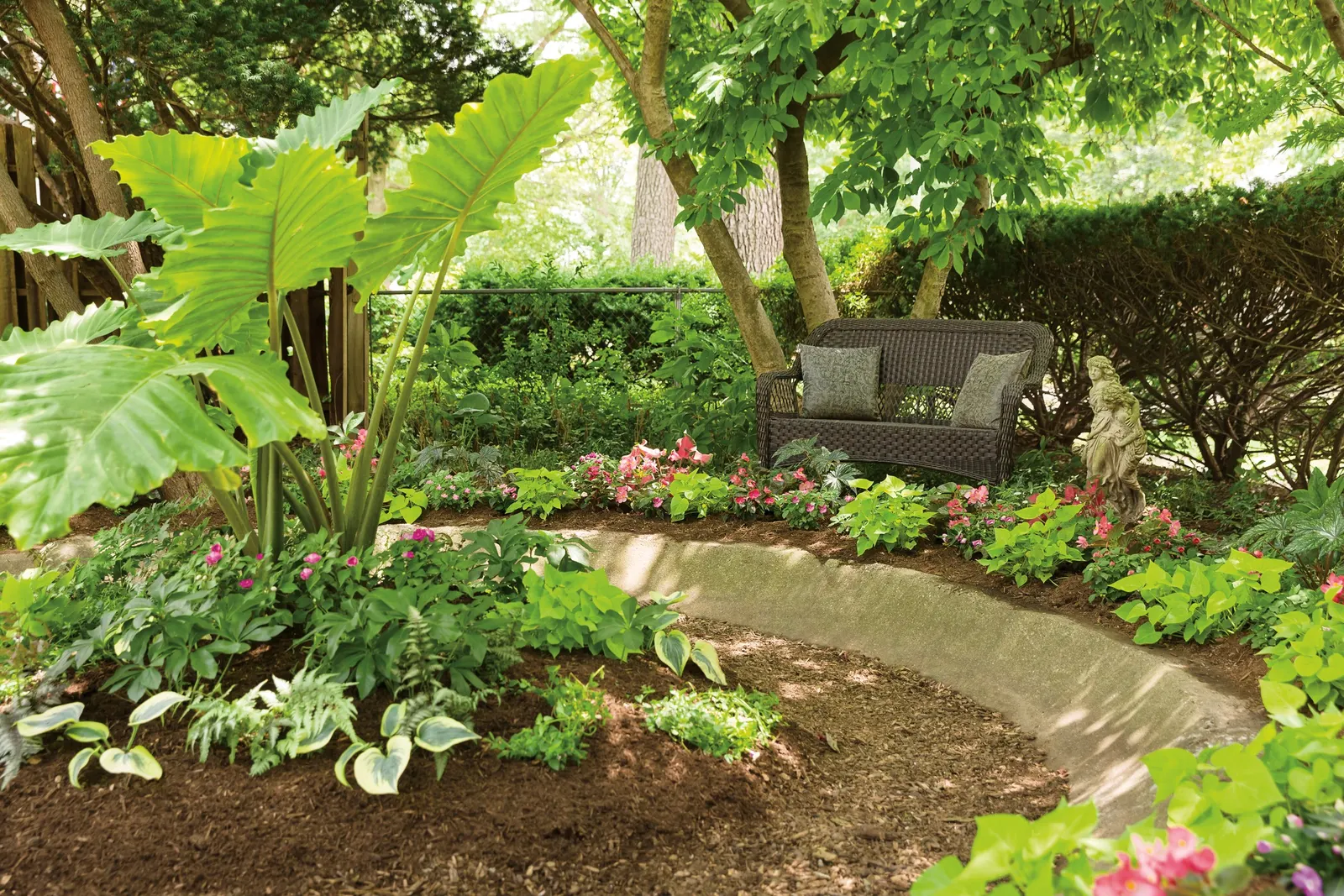 'Autumn Frost' Hosta (Hosta hybrid) — organically enriched soil and full to part shade; proven Winners - Shadowland® 'Autumn Frost' - Hosta hybrid, image 25