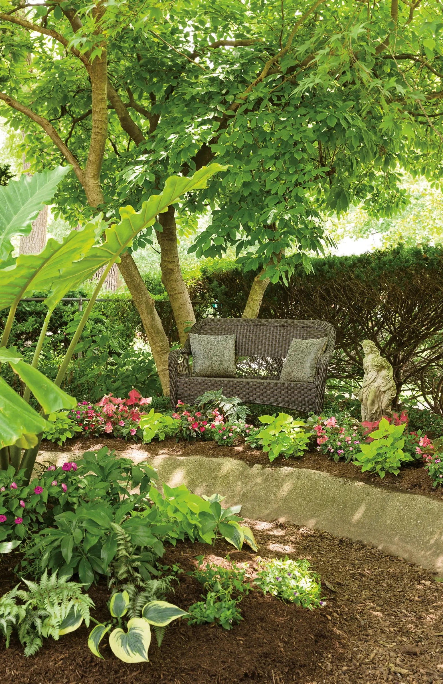 Coral Reef Double Impatiens (Impatiens walleriana) — no deadheading necessary for this colorful shade annuals; information and resources, image 22