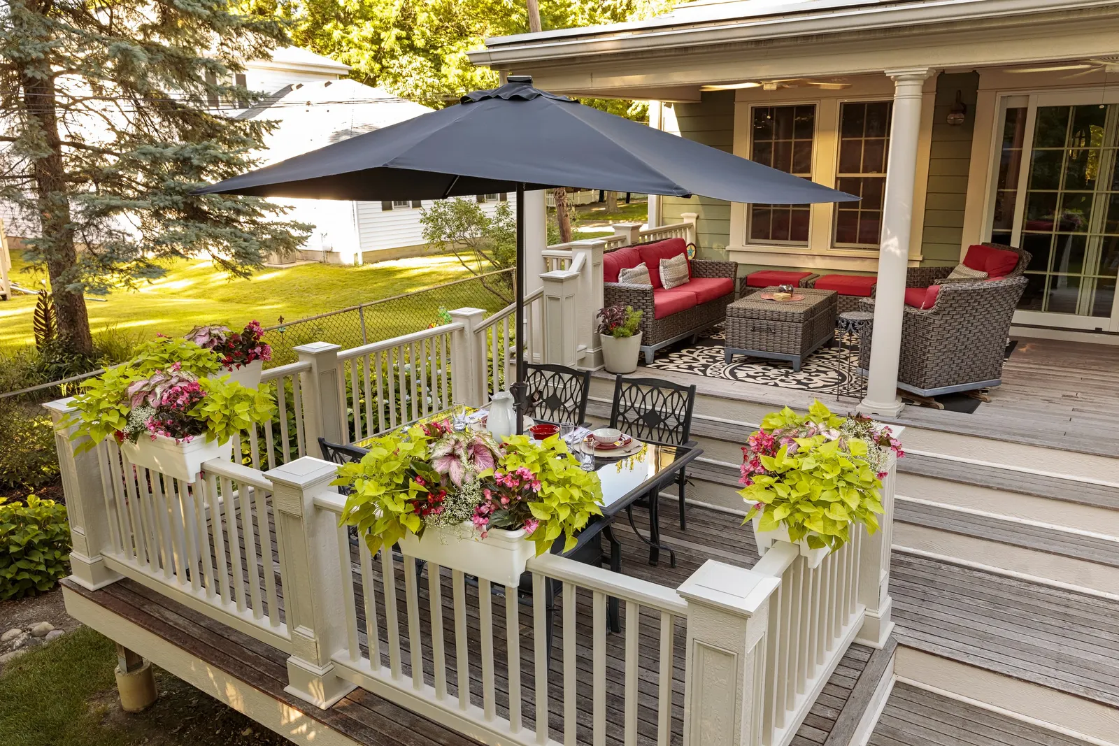 Diamond Frost® Euphorbia — but is grown as a dependable annual across most regions