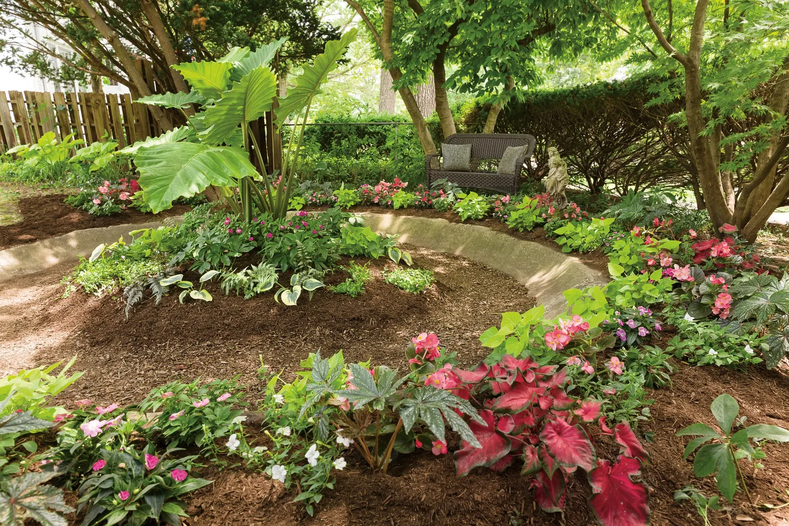 Coral Reef Double Impatiens (Impatiens walleriana) — information and resources; deadheading isn't necessary but removing spent blooms isn't harmful if you want
