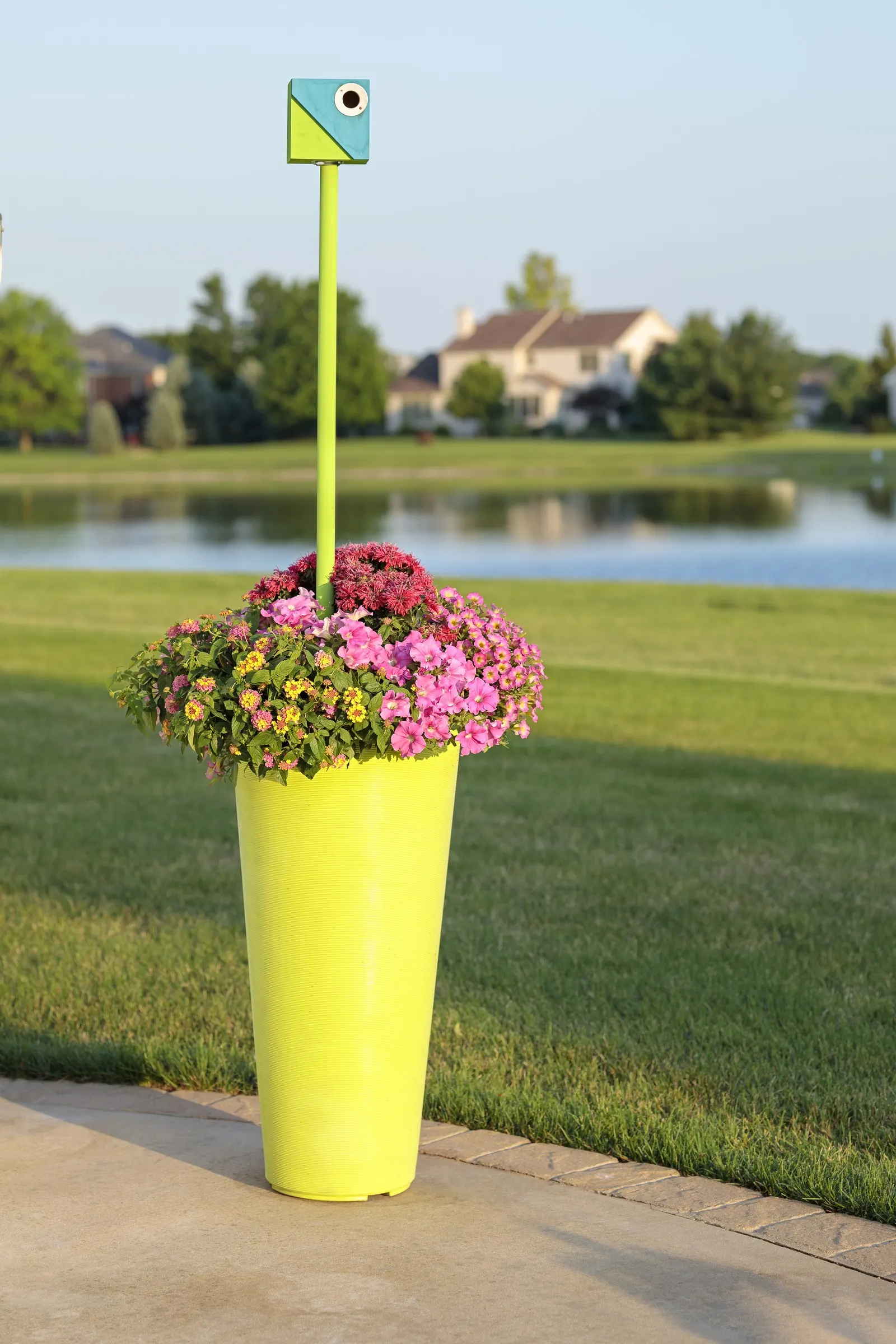 Daybreak Charm Petunia — Its small to medium blossoms open with sunshine-yellow throats that glow into watermelon-pink edges