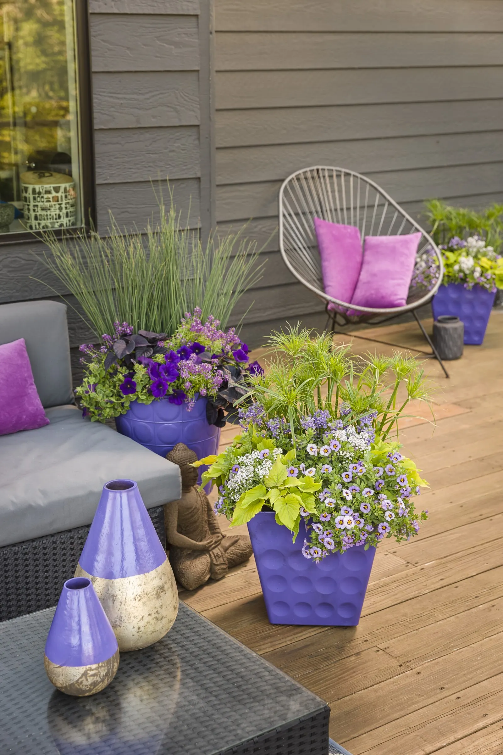 Blushing Princess® Sweet Alyssum (Lobularia) — serving as a reliable heat-tolerant alyssum