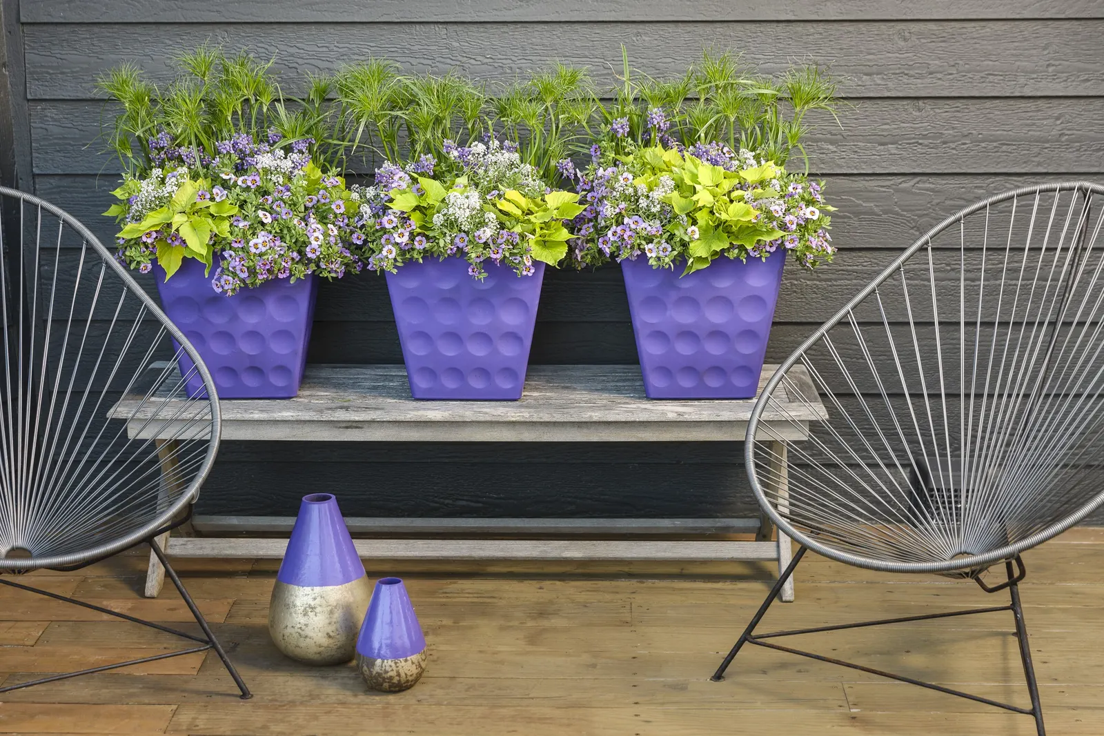 Blushing Princess® Sweet Alyssum (Lobularia) — a trim can be administered at any time