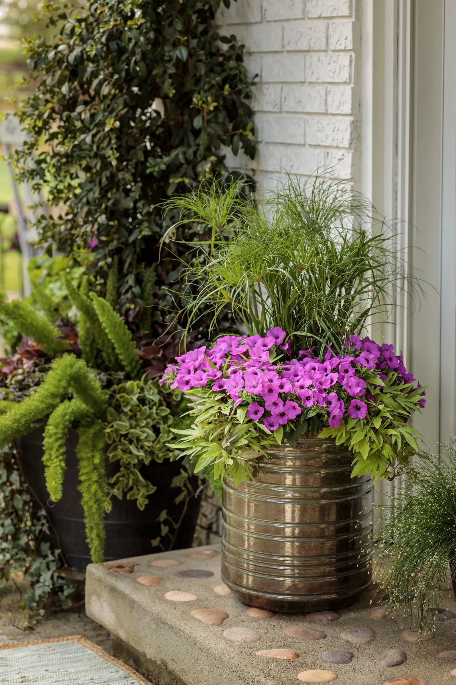 Jazzberry® Petunia — and it attracts butterflies and hummingbirds