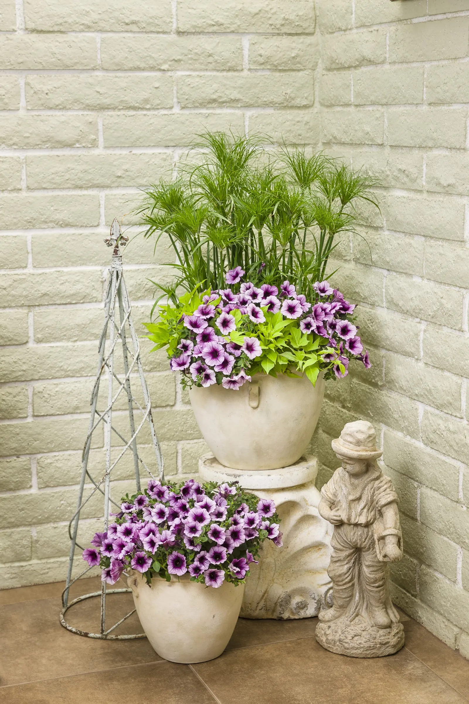 Bordeaux™ II Petunia — Like all Supertunia petunias; you may repeat the trim as needed through the season, image 58