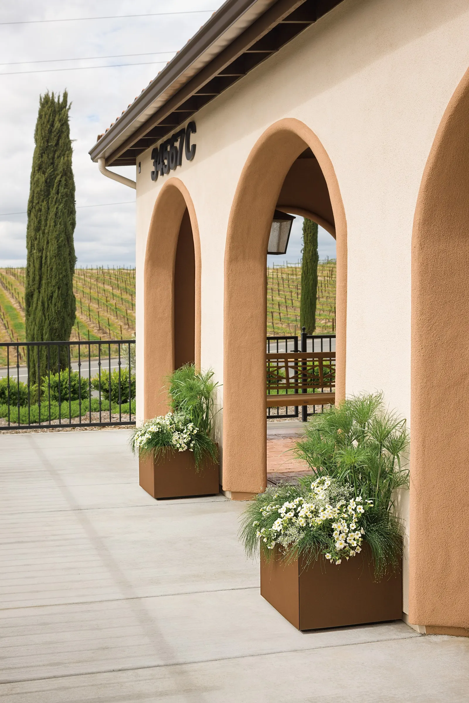 Over Easy™ II Calibrachoa — creating a fresh “over easy” effect that reads beautifully from a distance and feels refined up close