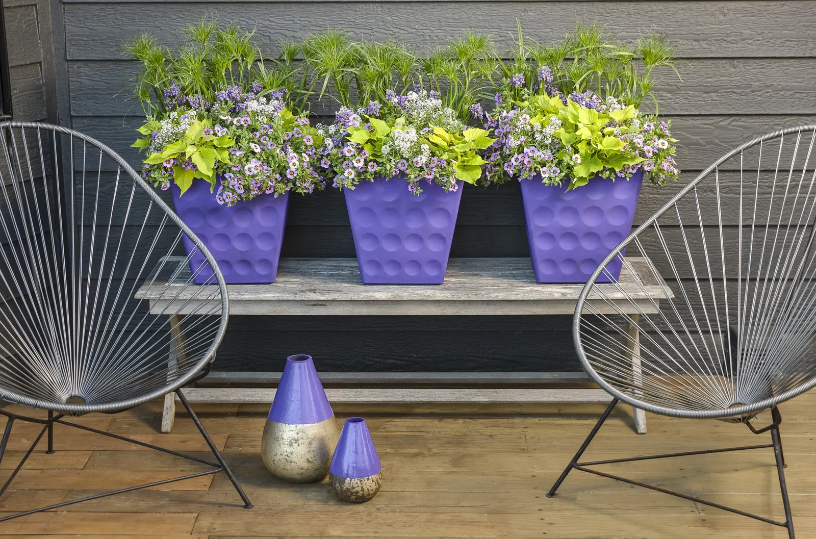 Blushing Princess® Sweet Alyssum (Lobularia) — Fragrant flowers and blush lavender color make this plant a fantastic addition to your garden