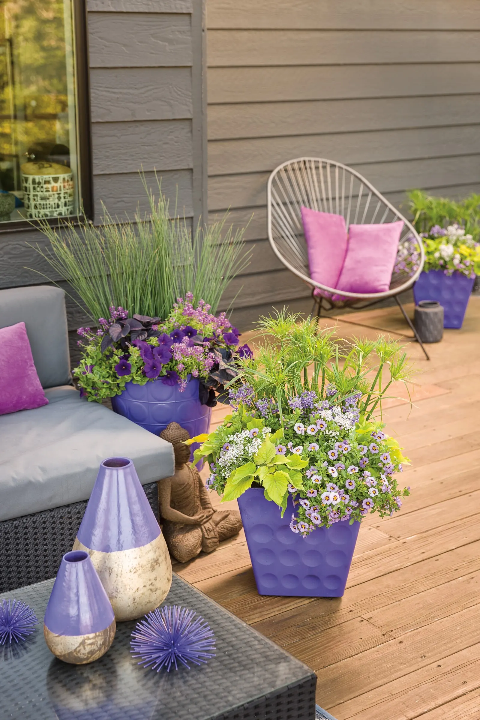 Blushing Princess® Sweet Alyssum (Lobularia) — No deadheading is necessary for continuous blooms