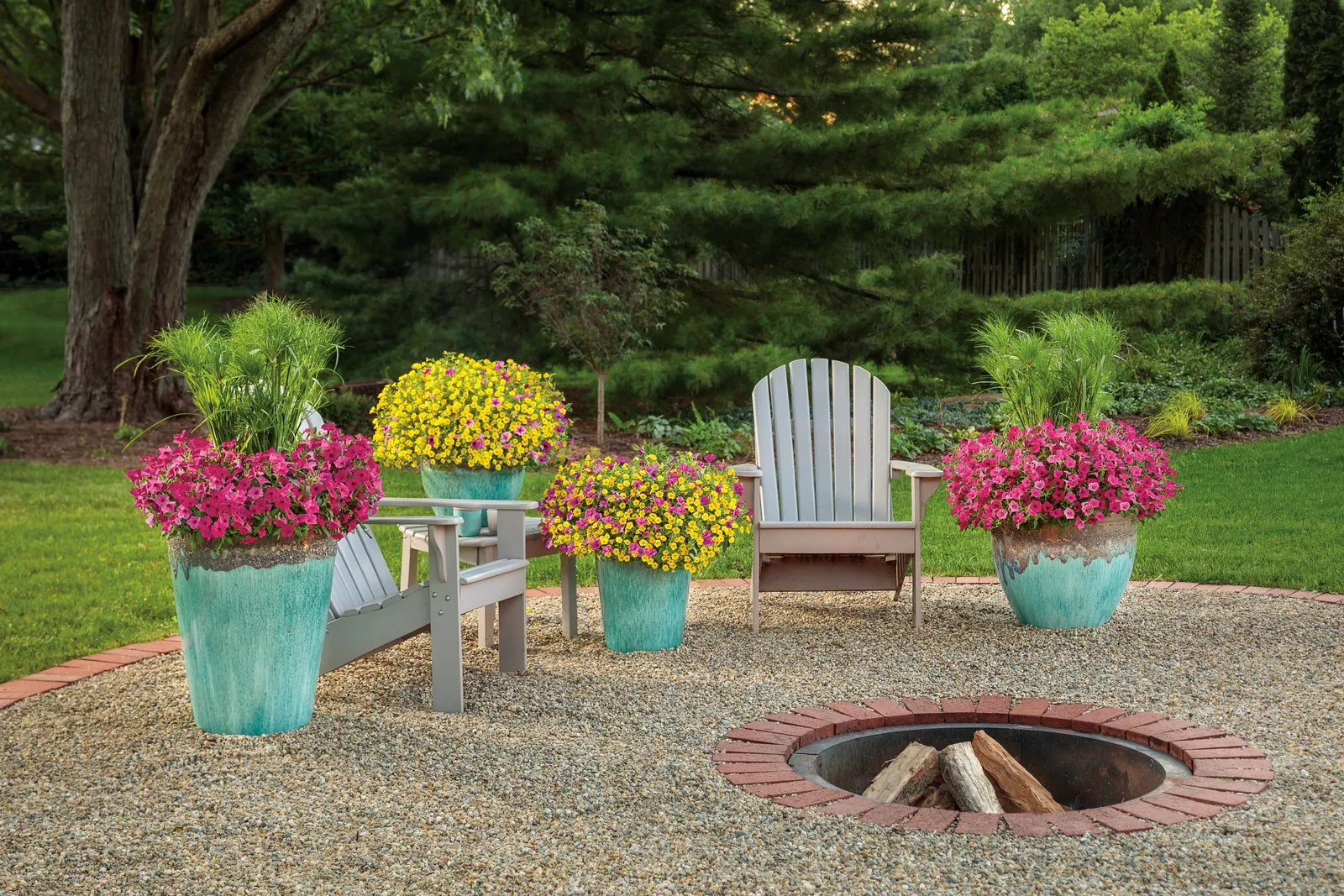Royal Magenta® II Petunia — it rewards consistent feeding—especially in containers