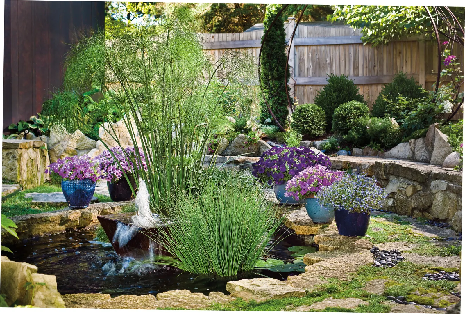 Blue Veined Petunia — Supertunia Trailing is the best choice