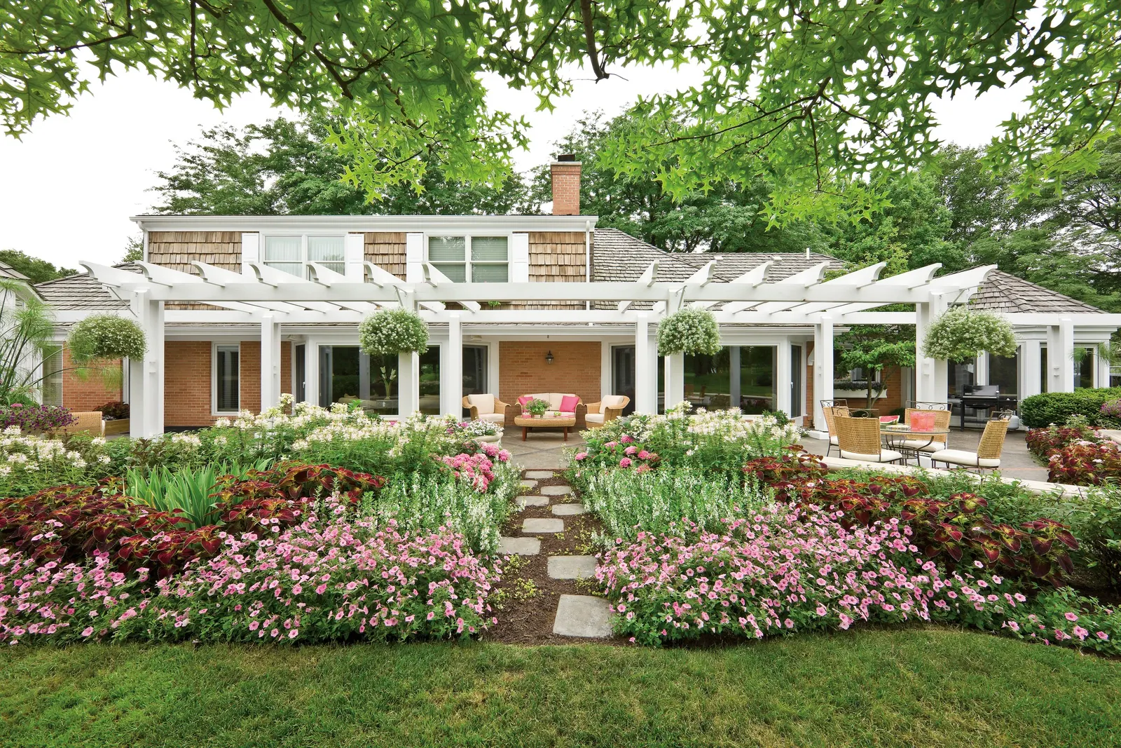 Let's Dance Big Band® Reblooming hydrangea (Hydrangea macrophylla) — Part of the Proven Winners® Let’s Dance® series